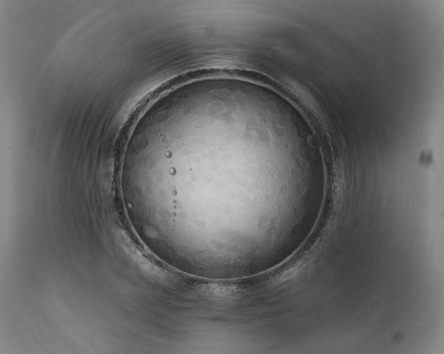 X0000112030831200908031434