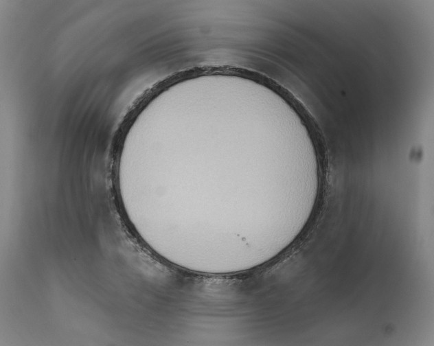 X0000112030832200908031434