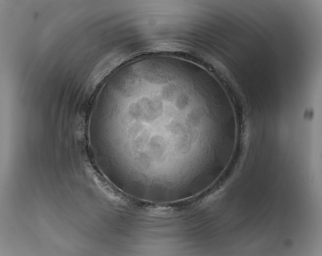 X0000112030833200908031434