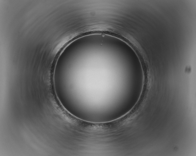 X0000112030834200908031434