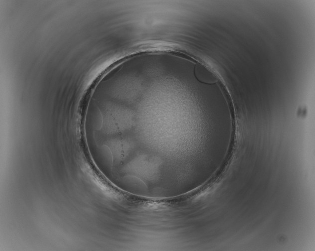 X0000112030835200908031434