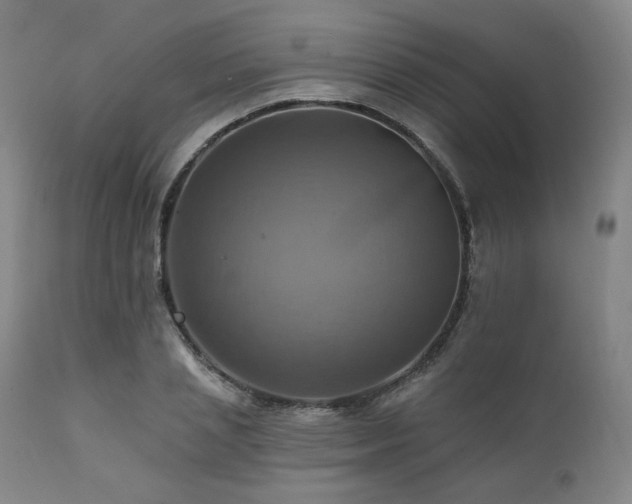 X0000112030837200908031434