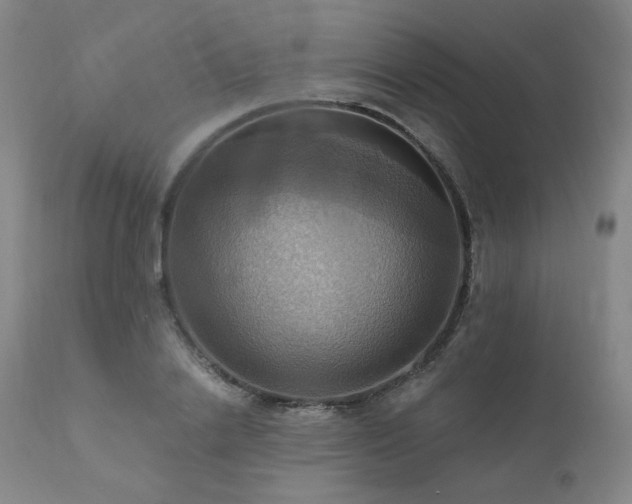 X0000112030838200908031434