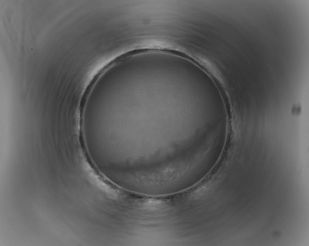 X0000112030839200908031434