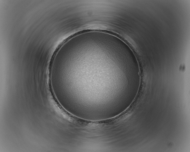 X0000112030840200908031434