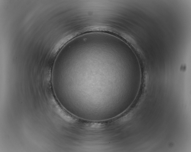 X0000112030841200908031434