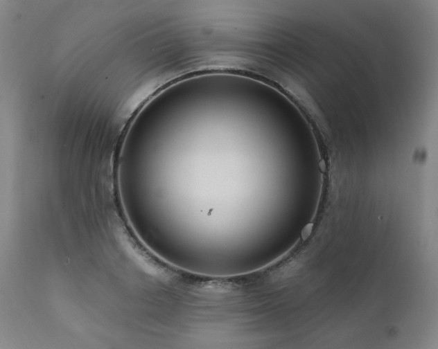 X0000112030842200908031434