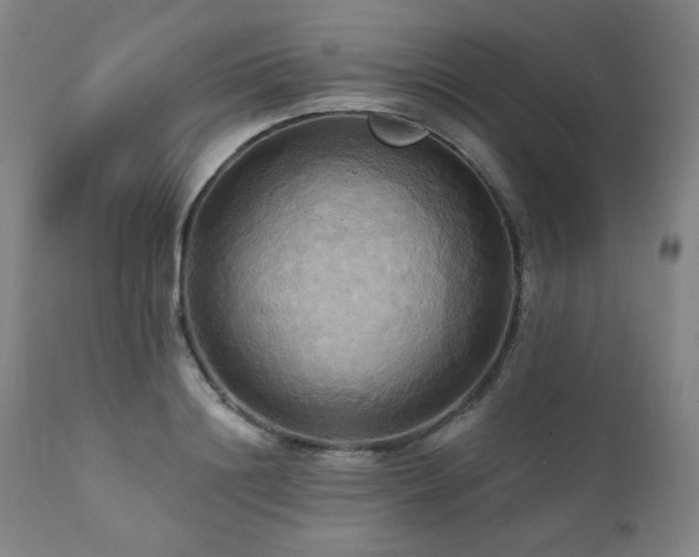 X0000112030844200908031434