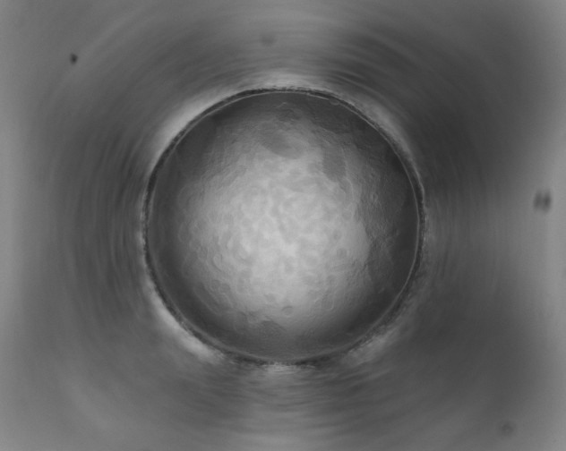 X0000112030847200908031434