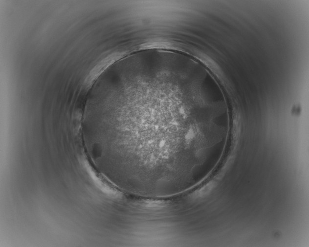 X0000112030849200908031434