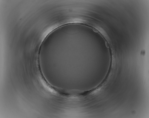 X0000112030850200908031434
