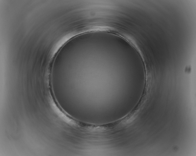 X0000112030851200908031434