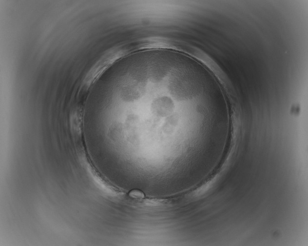 X0000112030857200908031434