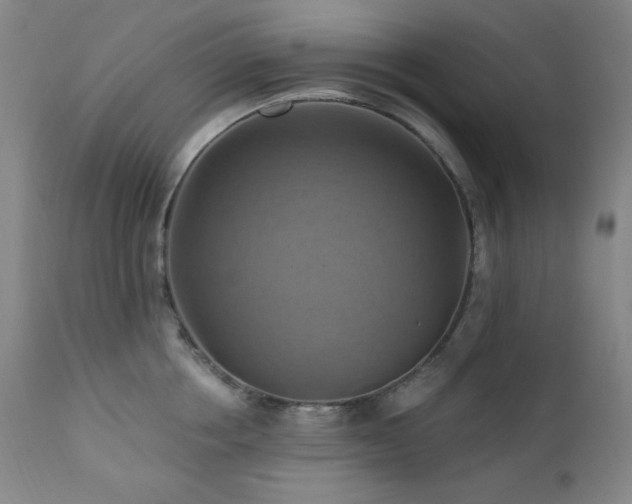 X0000112030858200908031434