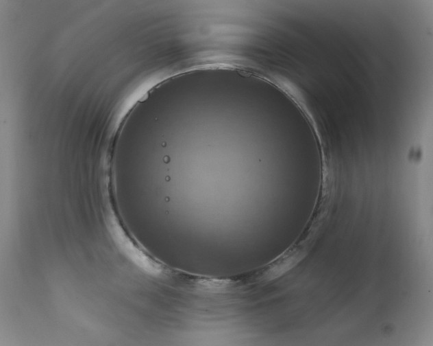 X0000112030859200908031434