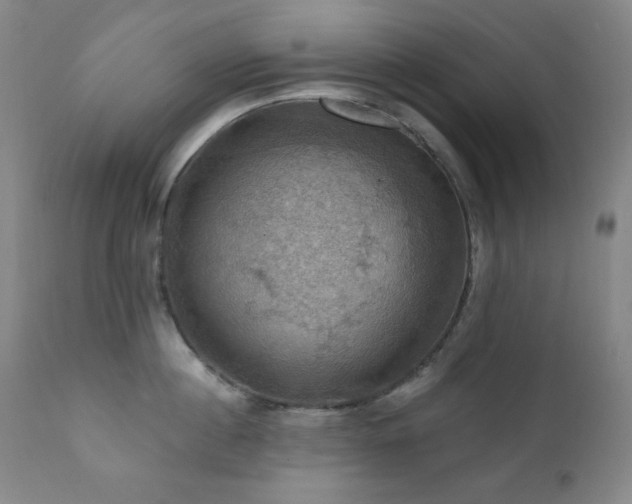 X0000112030860200908031434