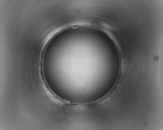X0000112030861200908031434