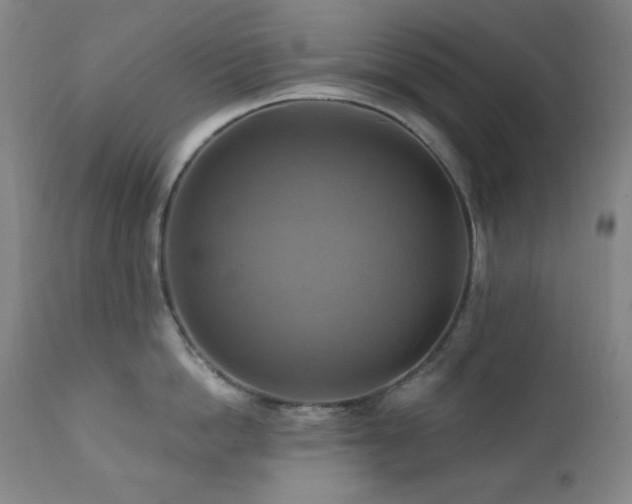 X0000112030862200908031434