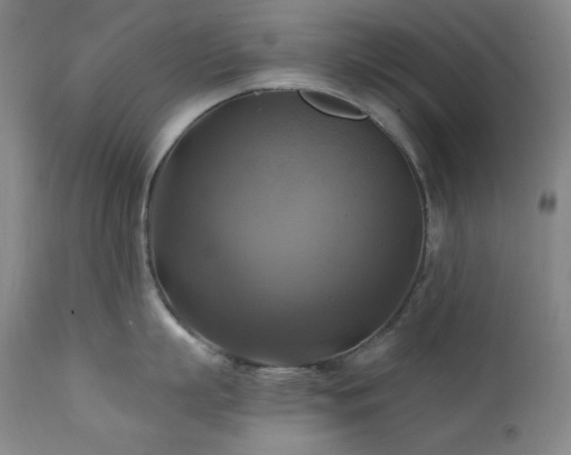 X0000112030863200908031434