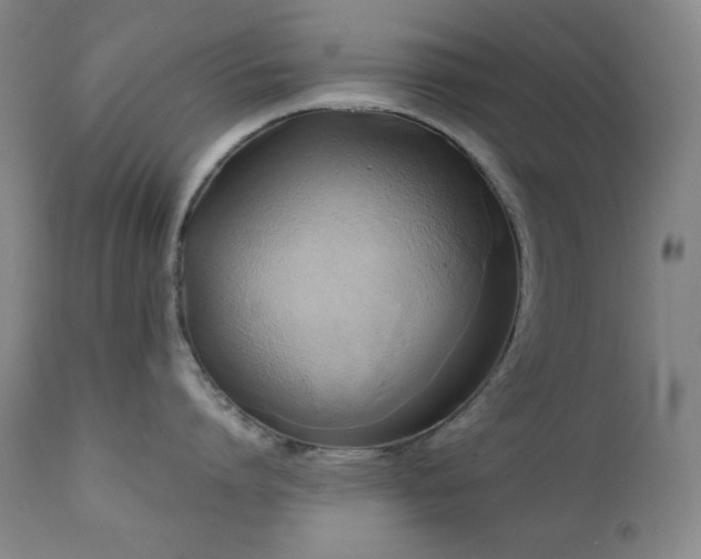 X0000112030864200908031434