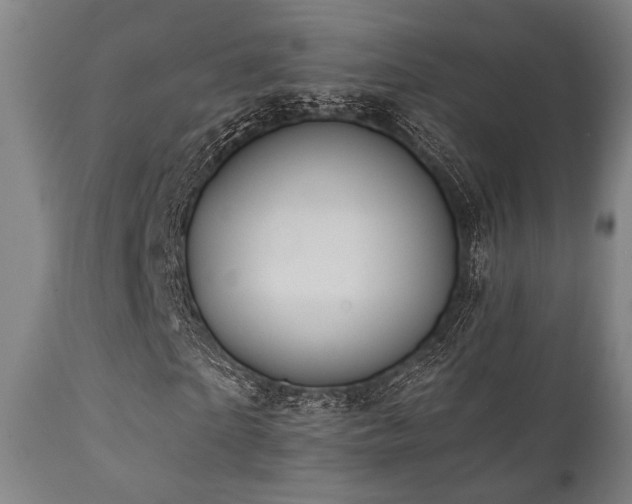 X0000112030865200908031434
