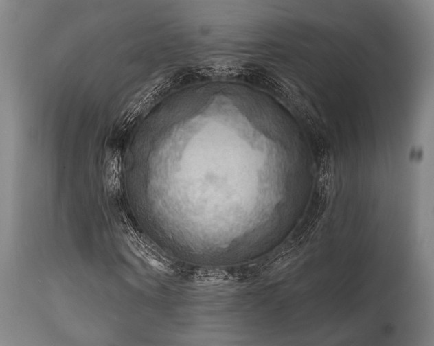 X0000112030866200908031434