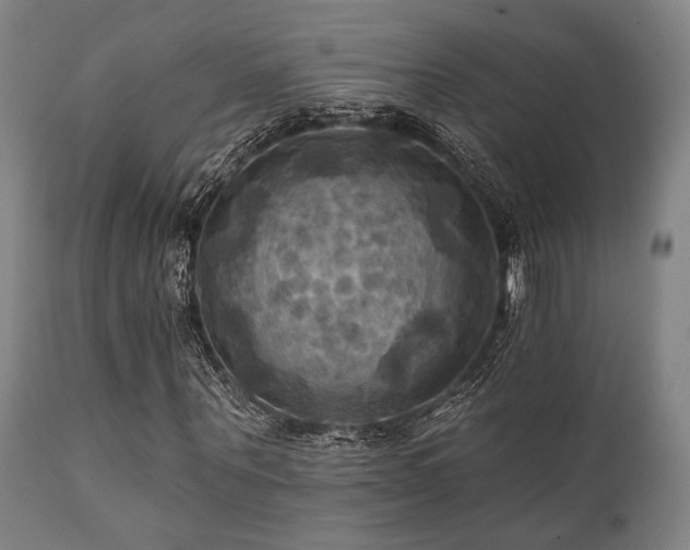 X0000112030867200908031434