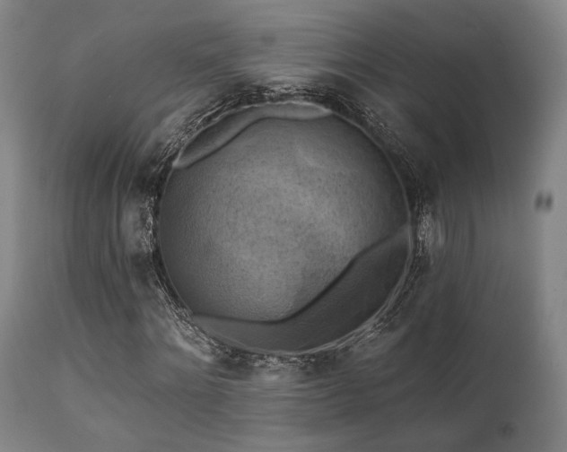 X0000112030868200908031434