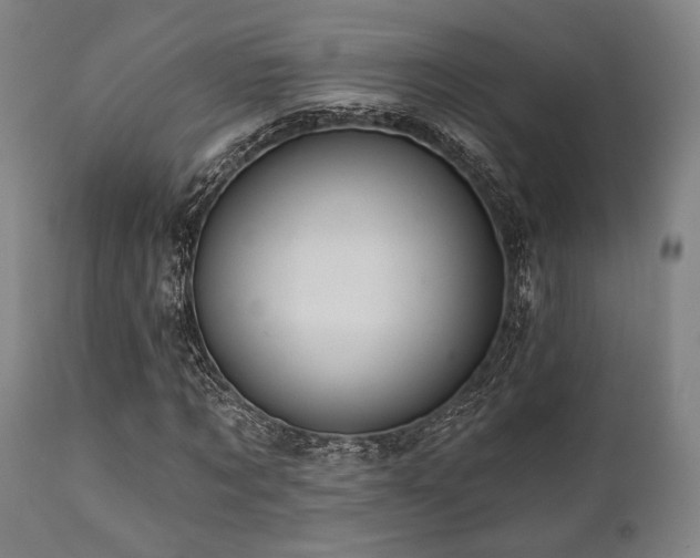 X0000112030869200908031434
