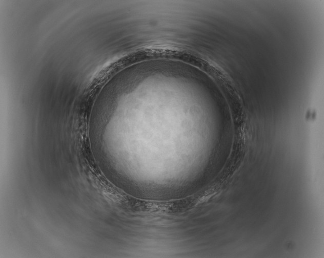 X0000112030870200908031433