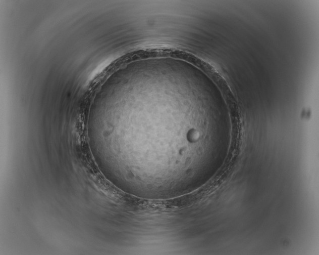 X0000112030871200908031433