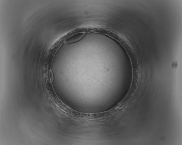 X0000112030872200908031433