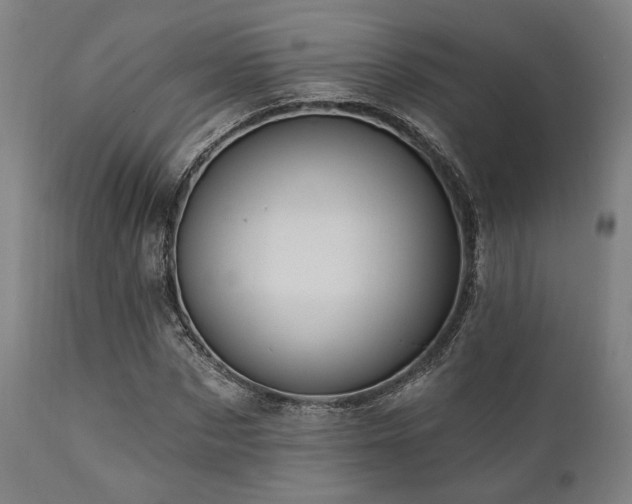 X0000112030873200908031433