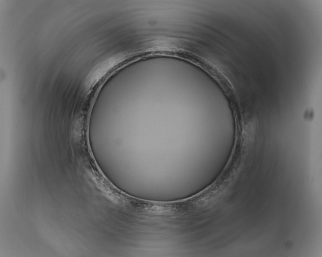 X0000112030874200908031433