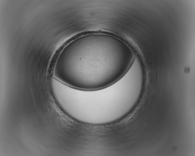 X0000112030876200908031433