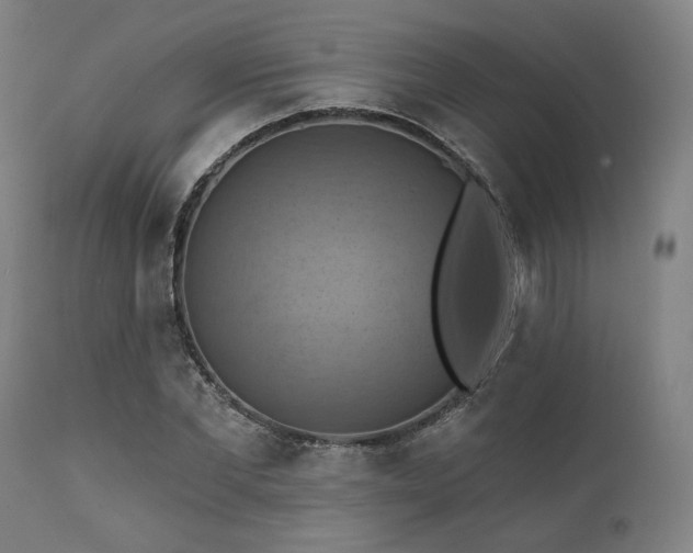 X0000112030877200908031433