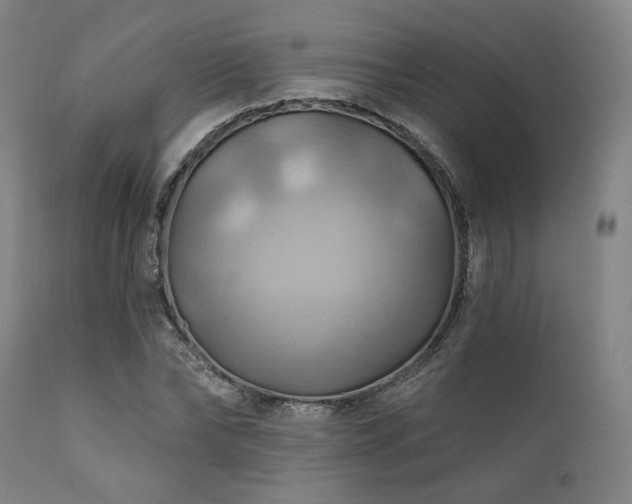 X0000112030878200908031433