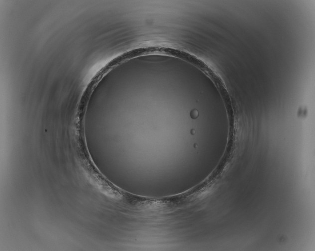X0000112030879200908031433