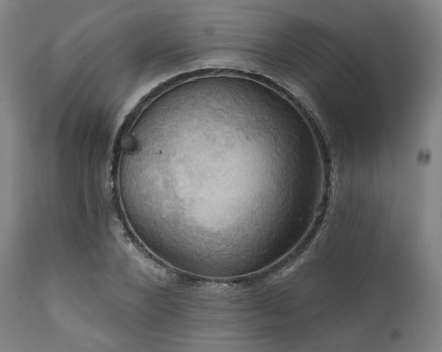 X0000112030880200908031433