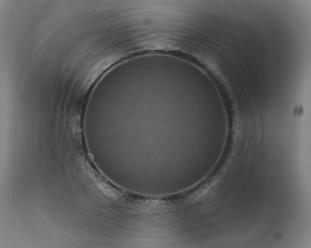 X0000112030881200908031433