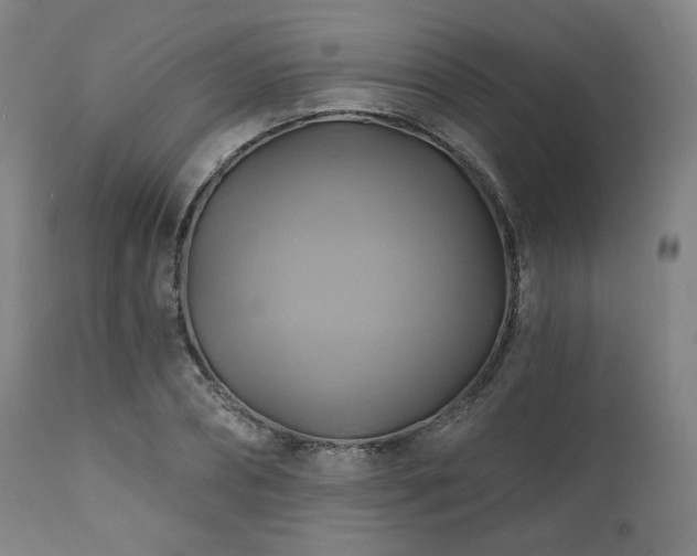 X0000112030882200908031433