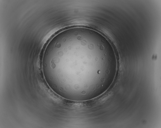 X0000112030883200908031433