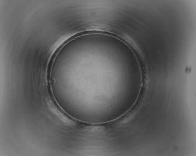 X0000112030884200908031433