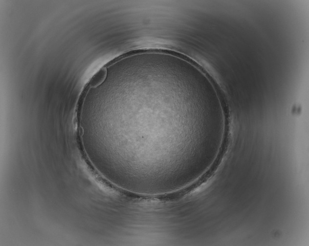 X0000112030885200908031433