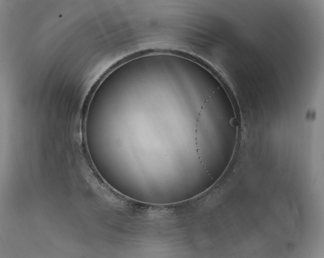 X0000112030887200908031433