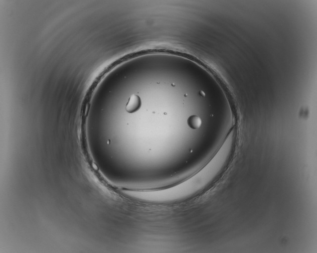 X0000112030888200908031433
