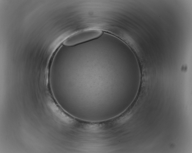 X0000112030892200908031433