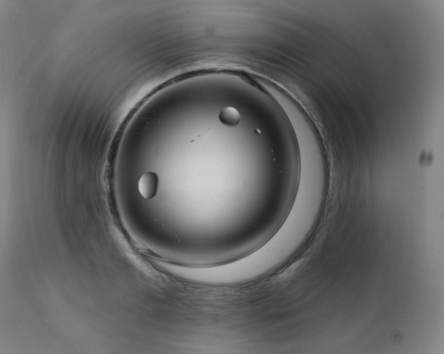 X0000112030893200908031433