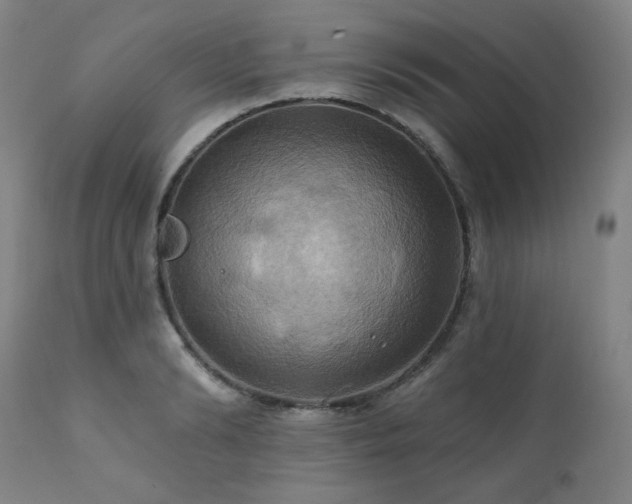 X0000112030894200908031433