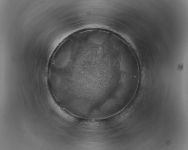 X0000112030895200908031433